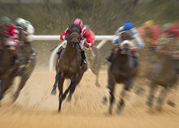 Pinjarra Races